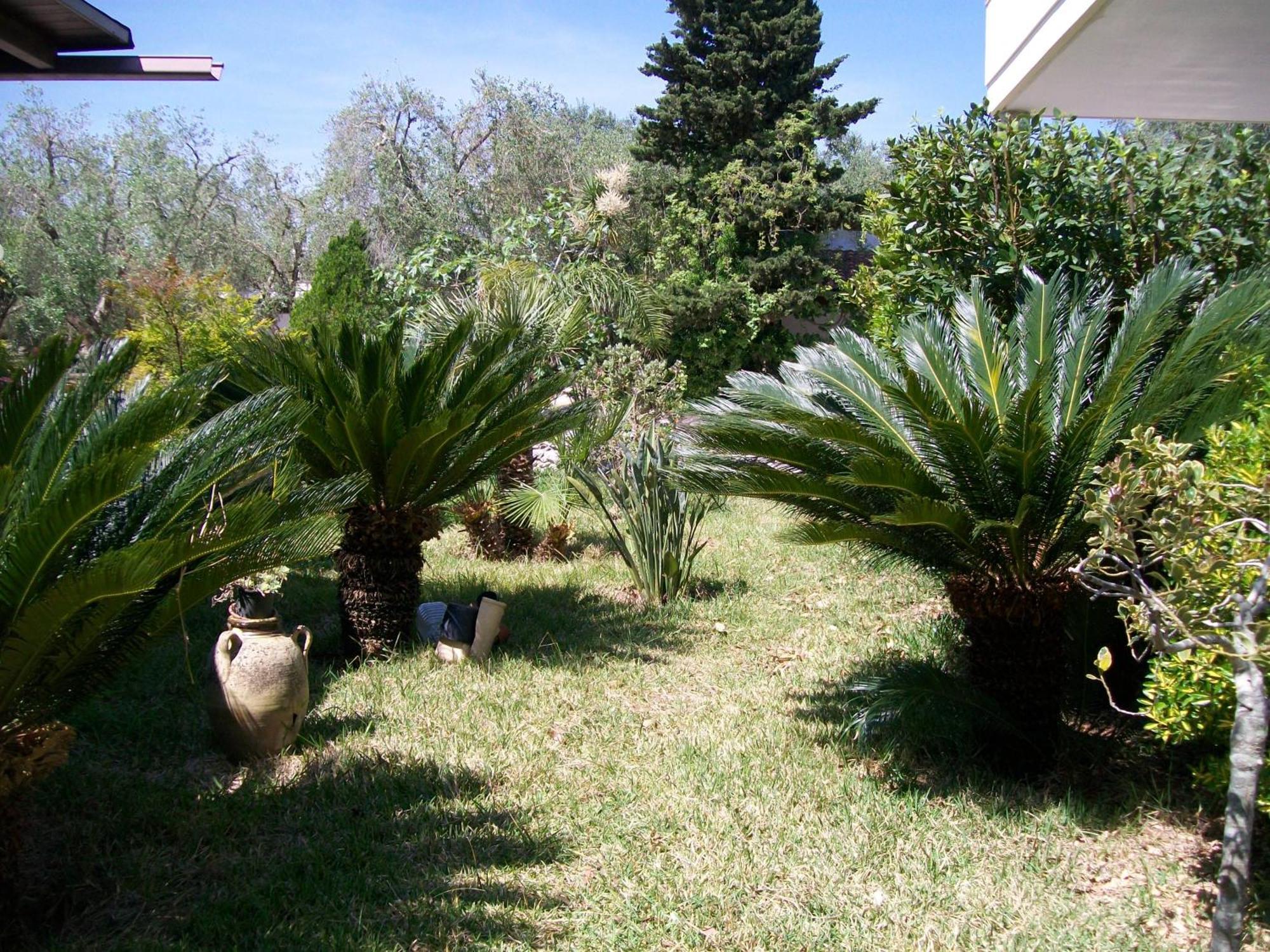 La Carcara Villa Otranto Exteriör bild